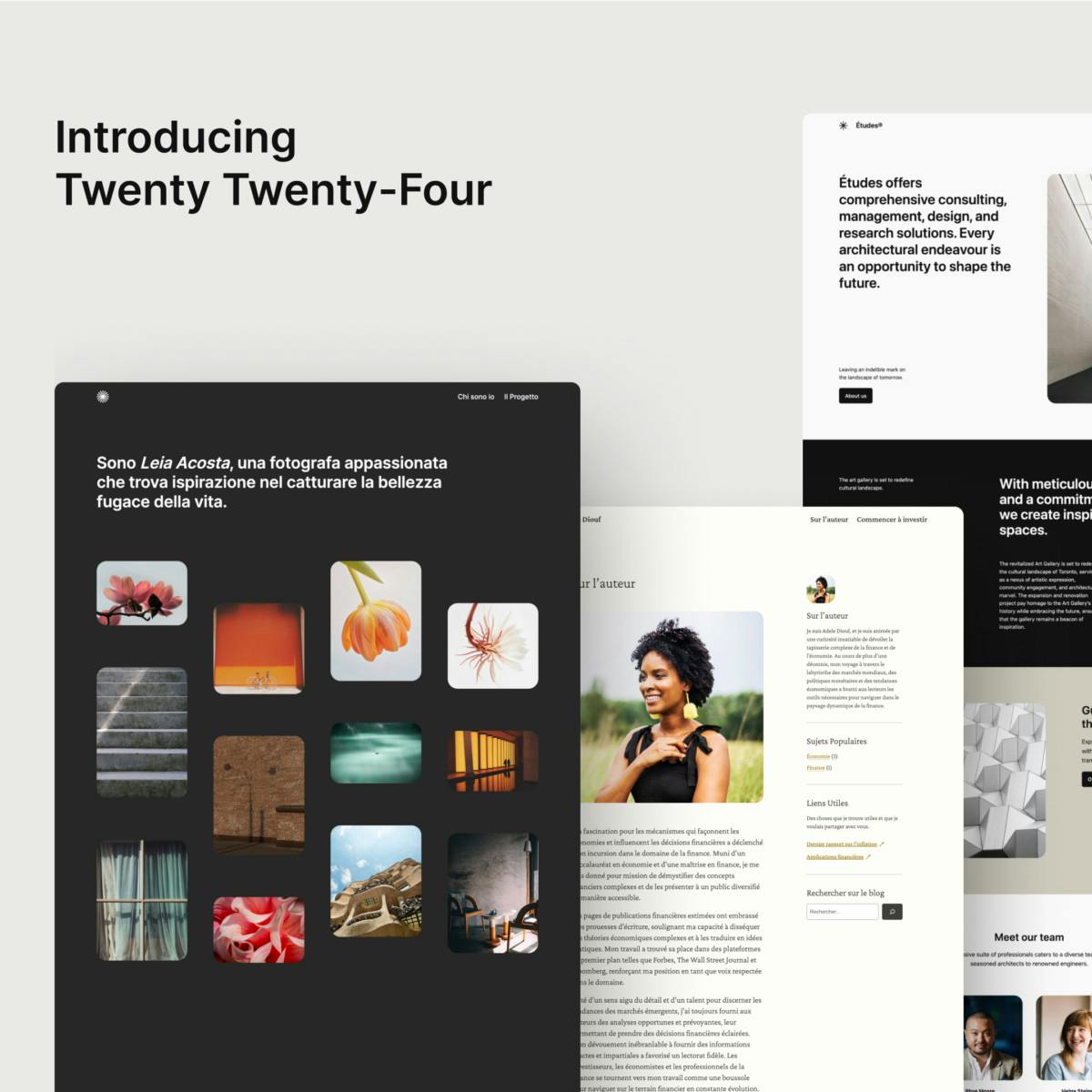 Cover Image for Введение в новую тему Twenty Twenty-Four (TT4) для WordPress
